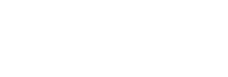 light logo